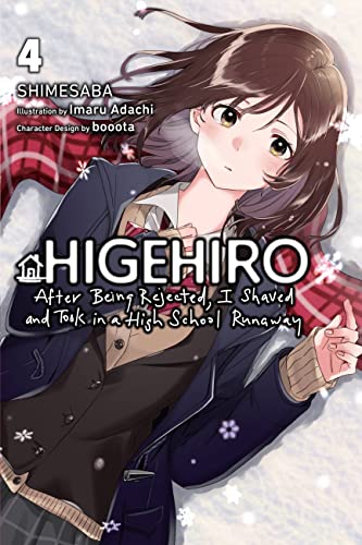 After Rejected & High School Runaway Novel Sc Vol 04 (Mr) (C