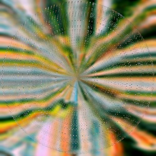 Nils Hoffmann - Everlight [VINYL]