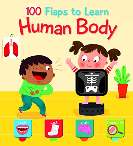 100 Flaps to Learn: Human body