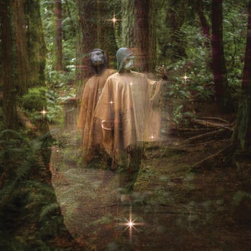 Terror/cactus - Forastero [VINYL]