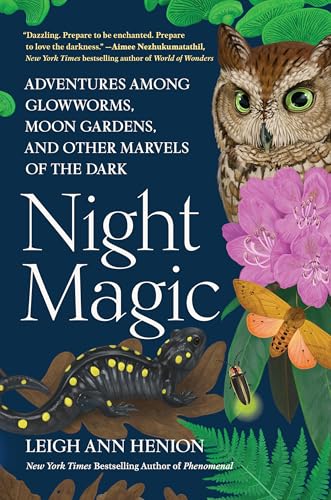 Night Magic