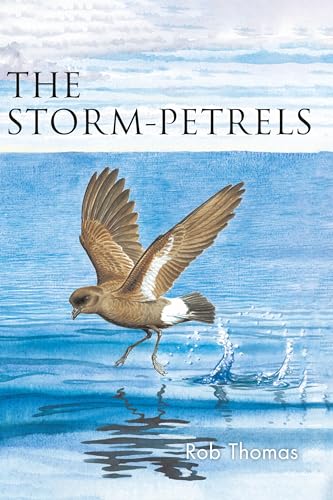 The Storm-petrels