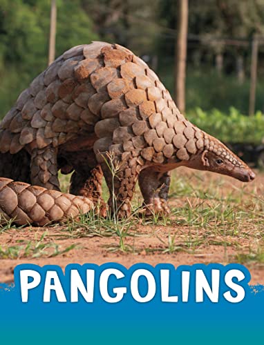 Pangolins (Animals)