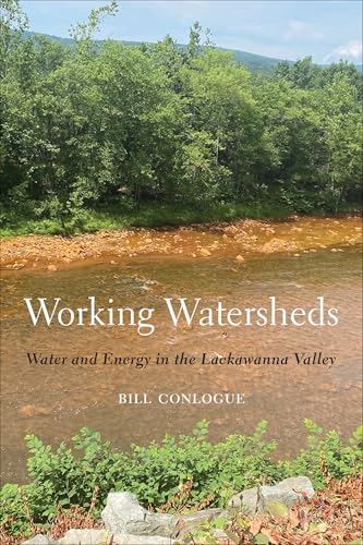 Working Watersheds : Water and Energy in the Lackawanna Valley