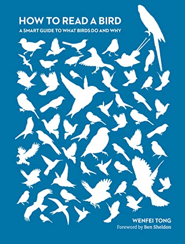 How to Read a Bird : A Smart Guide to What Birds Do and Why