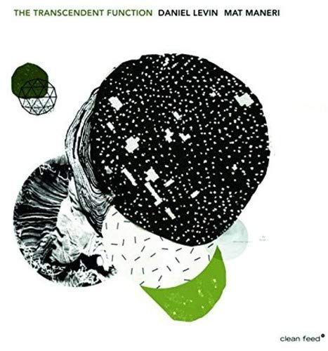 Maurizio Guarini - Transcendent Function [VINYL]
