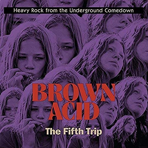 Brown Acid - The Fifth Trip / - Brown Acid - The Fifth Trip  [VINYL]