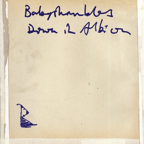 Babyshambles - Down In Albion [CD]