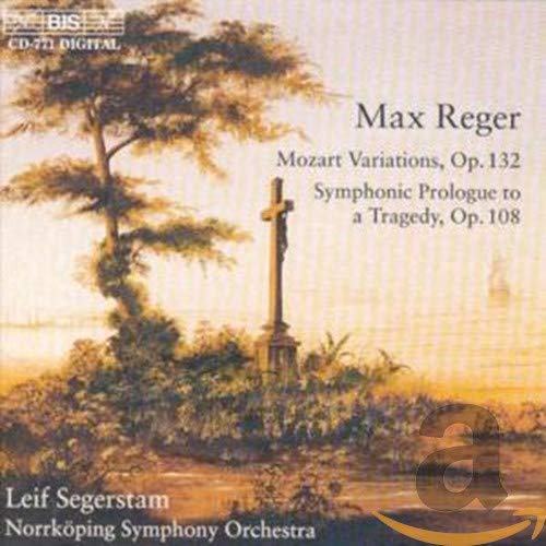 Norrkoping Sosegerstam - Reger - Orchestral Works [CD]