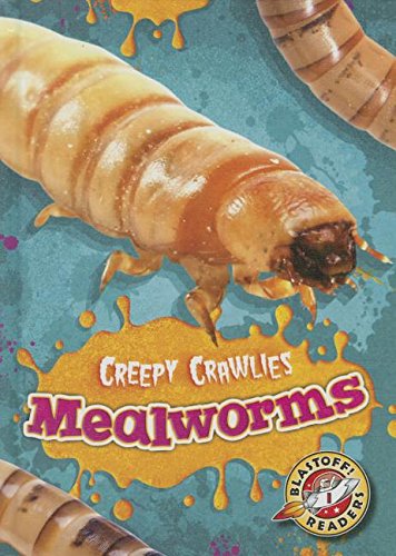 Mealworms (Creepy Crawlies)
