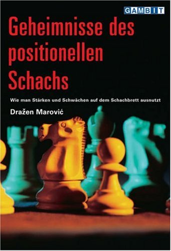 Geheimnisse Des Positionellen Schachs