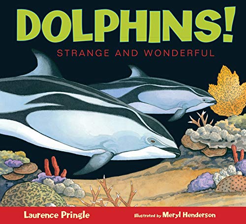 Dolphins! (Strange & Wonderful) (Strange and Wonderful)