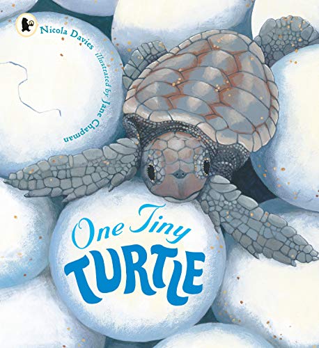 One Tiny Turtle: 1