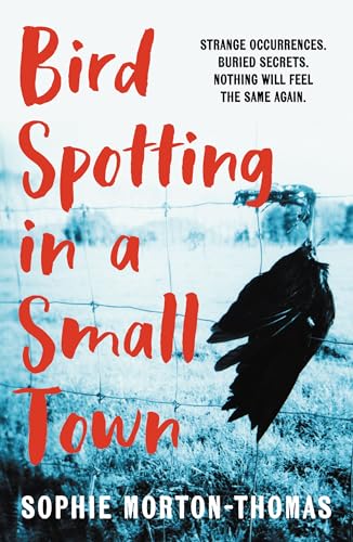 Bird Spotting in a Small Town: A chilling literary suspense novel of strange occurrences and buried secrets