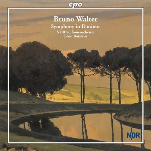 Ndr Sobotstein - WALTER: SYMPHONY IN D MINOR [CD]