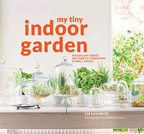 My Tiny Indoor Garden: Houseplant Heroes and Terrific Terrariums in Small Spaces