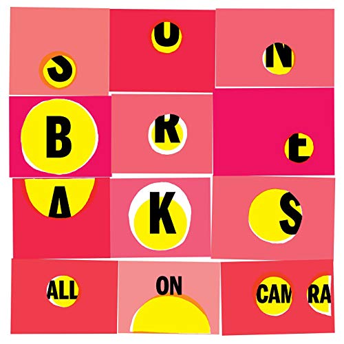Sun Breaks - All On Camera  [VINYL]
