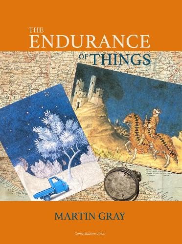 The Endurance of Things