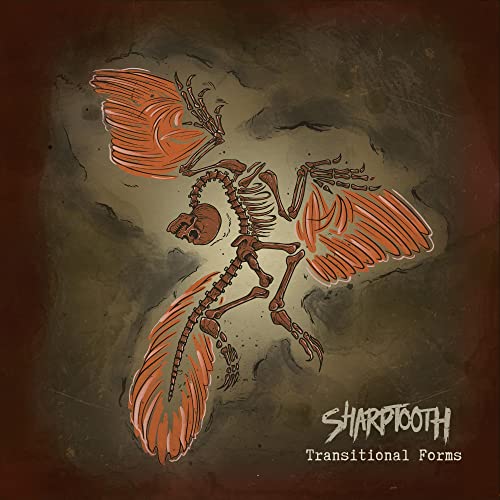 Seahaven - Transitional Forms  [VINYL]