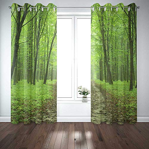 Two curtains hanging over a window, printed with a green forest and dirt path.