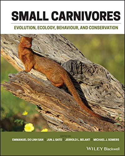Small Carnivores: Evolution