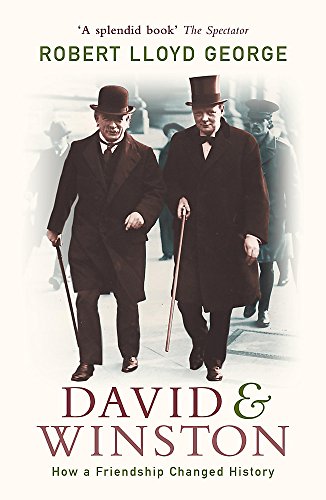 David and Winston : How a Friendship Changed History