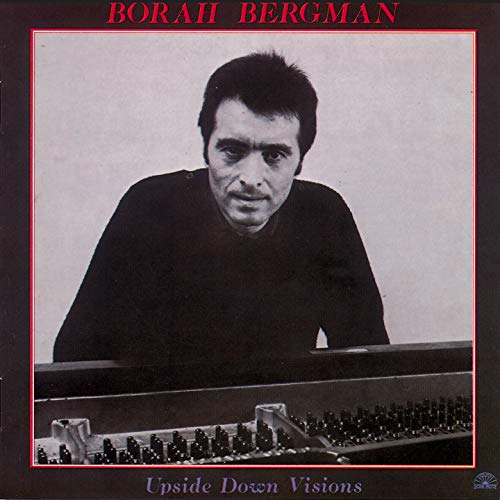 Borah Bergman - Upside Down Visions [CD]