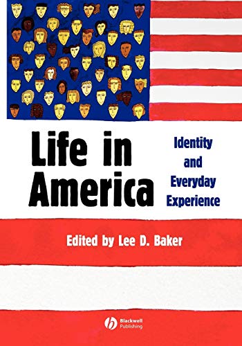 Life in America: Identity and Everyday Experience