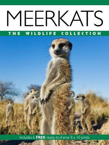 Meerkats (Wildlife Collection)