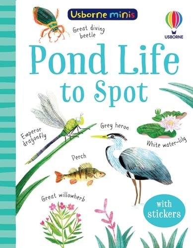 Pond Life to Spot (Usborne Mini Books): 1 (Usborne Minis)