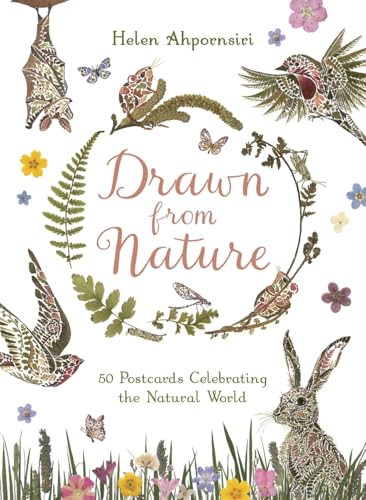 Drawn From Nature : 50 Postcards Celebrating the Natural World