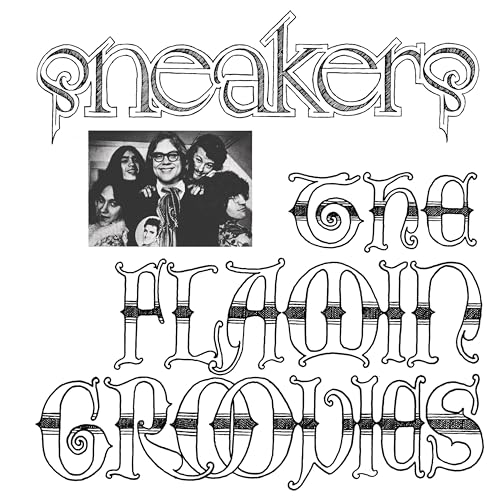 THE FLAMIN GROOVIES - SNEAKERS [VINYL]