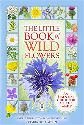 The Little Book Of Wild Flowers: A Visual Guide for all the Family: Part of The Little Books series