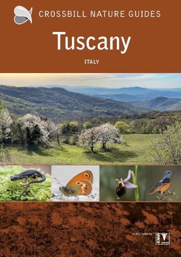 Tuscany : Italy : 42