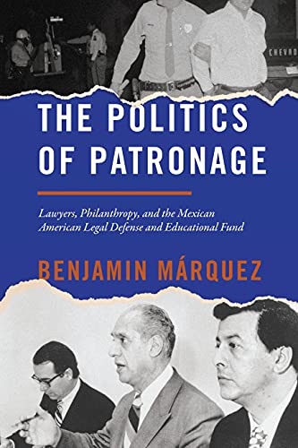 The Politics of Patronage: Lawyers