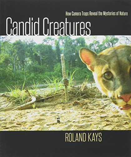Candid Creatures: How Camera Traps Reveal the Mysteries of Nature