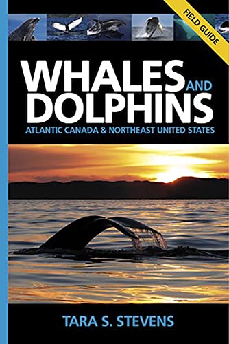 Whales & Dolphins of Atlantic Canada & Northeast United States : Field Guide