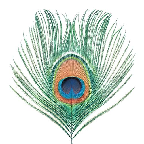 Various - Wasp Star (Apple Venus Vol. 1) [VINYL]