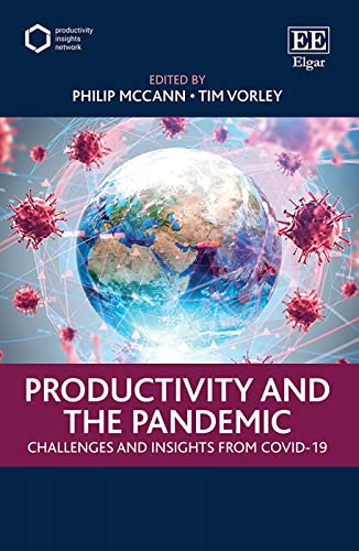 Productivity and the Pandemic: Challenges and Insights from Covid-19