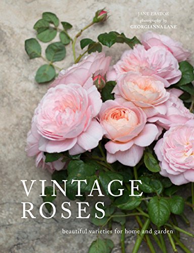 Vintage Roses: Beautiful Varieties for Home and Garden (Beautiful Varieties/Home/Gardn)