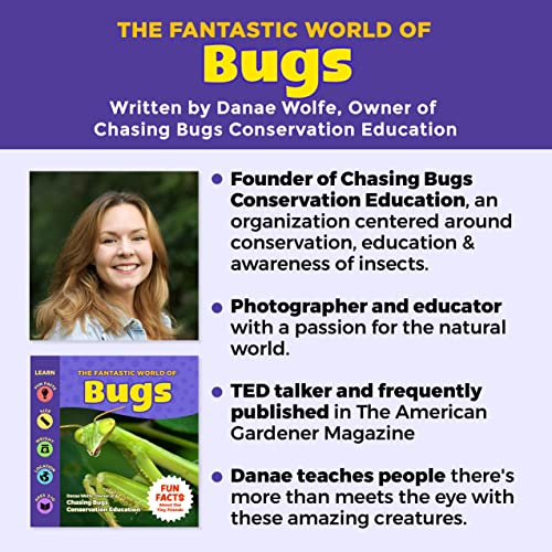 The Fantastic World of Bugs