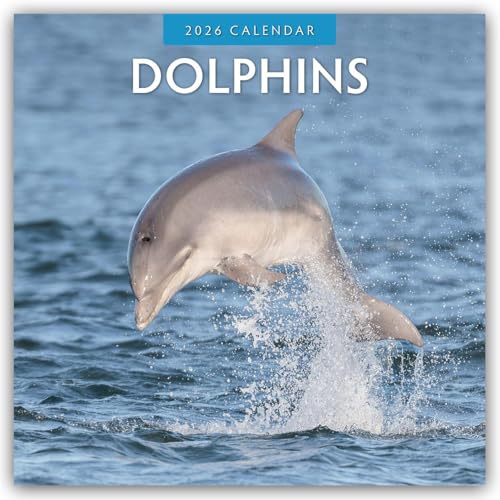 Dolphins 2026 Square Wall Calendar