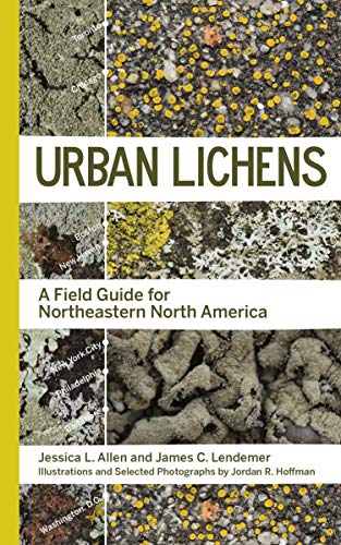 Book cover featuring close-up photographs of various lichens on urban surfaces.