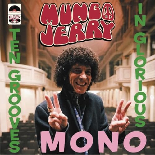 Various - Ten Grooves In Glorious Mono [VINYL]