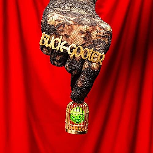 Buck Gooter - Head In A Bird Cage [VINYL]