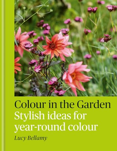 Colour in the Garden : Stylish ideas for year-round colour