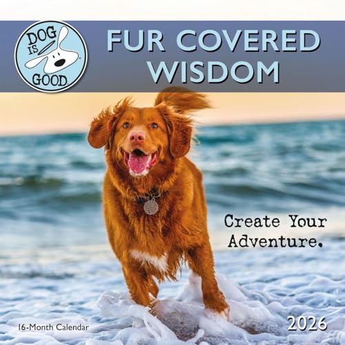 Dog Is Good Fur Covered Wisdom Square Wa