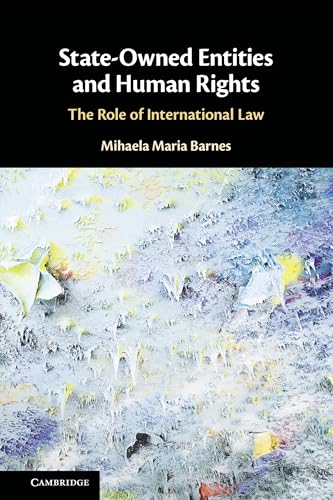 State-Owned Entities and Human Rights : The Role of International Law