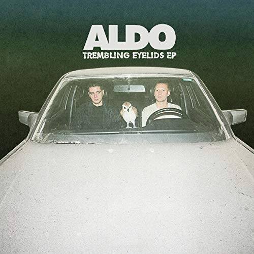 Album cover featuring two men and an owl inside a car.