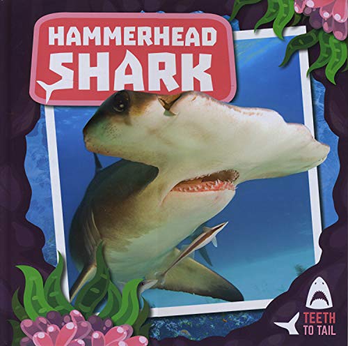 Hammerhead Shark: Teeth to Tail